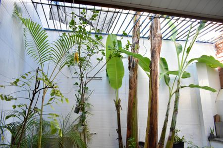 Casa para alugar com 220m², 3 quartos e 2 vagas Casa para alugar com 220m², 3 quartos e 2 vagasQuintal