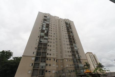 Fachada de apartamento para alugar com 2 quartos, 52m² em Parque São Lourenço, São Paulo