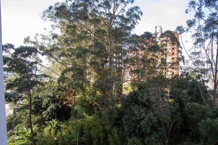 Varanda da Sala de apartamento para alugar com 2 quartos, 42m² em Bairro dos Casa, São Bernardo do Campo