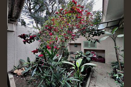 Casa à venda com 250m², 3 quartos e 3 vagasJardim