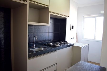 Apartamento para alugar com 49m², 2 quartos e 1 vagaCozinha - Armários