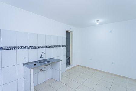 Cozinha de apartamento para alugar com 1 quarto, 45m² em Vila Arcadia, São Paulo