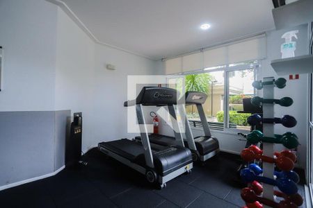 Apartamento à venda com 110m², 3 quartos e 2 vagasÁrea comum - Academia