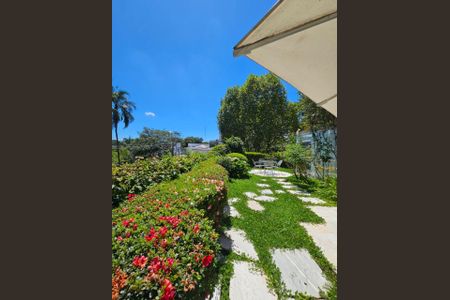 Casa à venda com 589m², 4 quartos e 4 vagasFoto 46