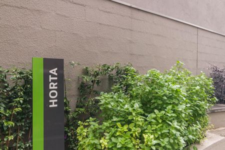 Apartamento para alugar com 40m², 2 quartos e 1 vaga Apartamento para alugar com 40m², 2 quartos e 1 vagaÁrea comum - Horta