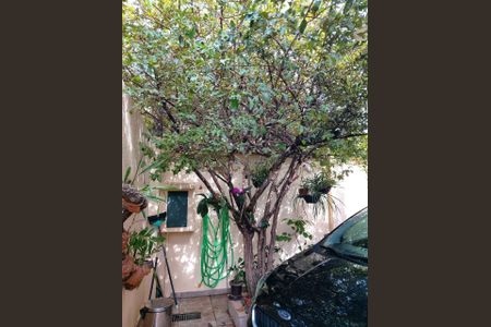 Casa à venda com 220m², 3 quartos e 3 vagasFoto 25