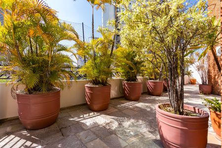 Apartamento à venda com 482m², 4 quartos e 5 vagasCobertura