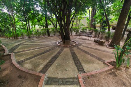 Apartamento à venda com 65m², 3 quartos e 1 vaga Apartamento à venda com 65m², 3 quartos e 1 vagaBosque