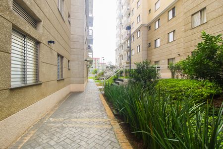 Apartamento à venda com 65m², 3 quartos e 1 vaga Apartamento à venda com 65m², 3 quartos e 1 vagaÁrea comum