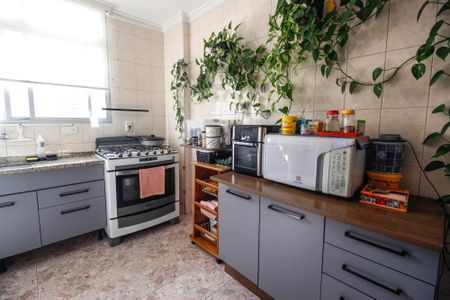 Apartamento à venda com 101m², 3 quartos e 1 vagaCozinha