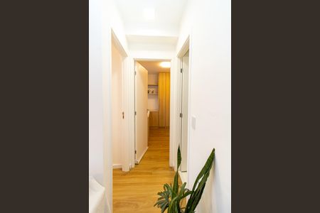 Corredor - Quarto de apartamento para alugar com 2 quartos, 35m² em Parque Vitoria, São Paulo