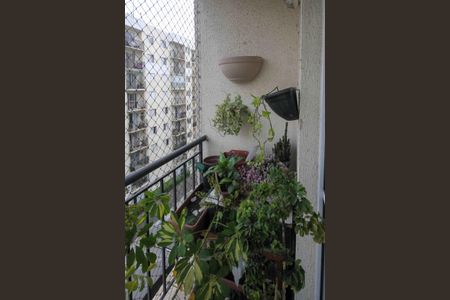 Varanda de apartamento à venda com 3 quartos, 58m² em Vila Mendes, São Paulo