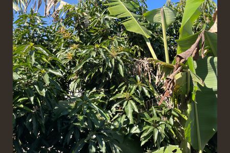 Casa para alugar com 125m², 3 quartos e sem vagaVista do Quarto