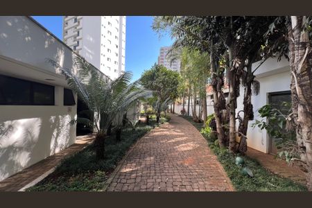 Apartamento para alugar com 40m², 1 quarto e 1 vaga Apartamento para alugar com 40m², 1 quarto e 1 vagaÁrea comum