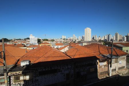 Studio para alugar com 54m², 0 quarto e sem vagaVista