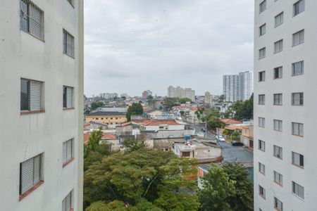 Apartamento à venda com 75m², 3 quartos e 1 vagaVista da Sala
