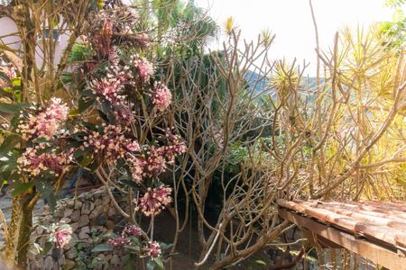 Casa à venda com 287m², 4 quartos e 3 vagasVista do Quarto 1