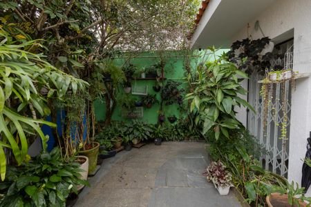 Casa à venda com 260m², 3 quartos e 3 vagasQuintal Fundos e churrasqueira