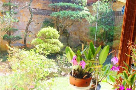 Casa à venda com 751m², 3 quartos e 10 vagas