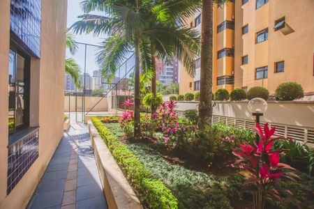 Apartamento à venda com 74m², 3 quartos e 2 vagasÁrea comum