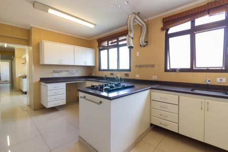 Apartamento à venda com 436m², 4 quartos e 4 vagas Apartamento à venda com 436m², 4 quartos e 4 vagasCozinha