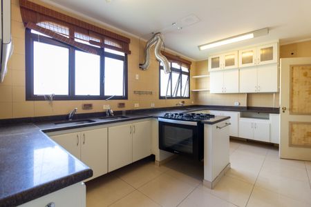 Apartamento à venda com 436m², 4 quartos e 4 vagas Apartamento à venda com 436m², 4 quartos e 4 vagasCozinha
