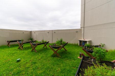 Apartamento para alugar com 53m², 2 quartos e 1 vaga Apartamento para alugar com 53m², 2 quartos e 1 vagaÁrea comum - Horta