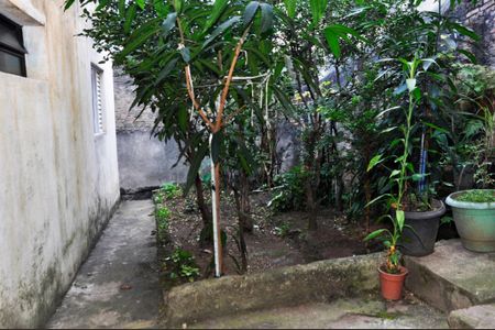 Casa à venda com 250m², 2 quartos e 3 vagas Casa à venda com 250m², 2 quartos e 3 vagasÁrea comum