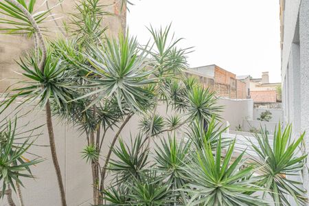 Vista Varanda de apartamento para alugar com 2 quartos, 30m² em Vila Moraes, São Paulo