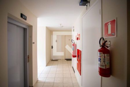 Apartamento à venda com 55m², 2 quartos e 1 vagaÁrea comum - Hall