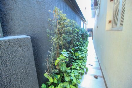 Casa à venda com 600m², 4 quartos e 1 vagaCorredor