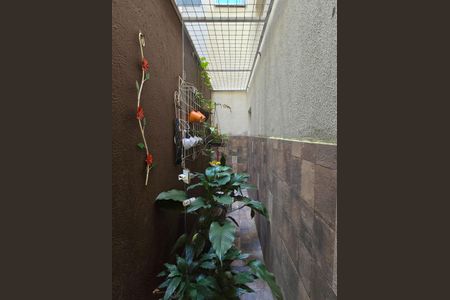 Jardim de Inverno - Sala de casa à venda com 3 quartos, 173m² em Santa Terezinha, São Bernardo do Campo