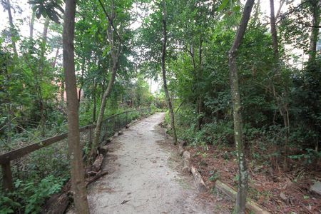 Apartamento à venda com 58m², 2 quartos e 1 vaga Apartamento à venda com 58m², 2 quartos e 1 vagaBosque