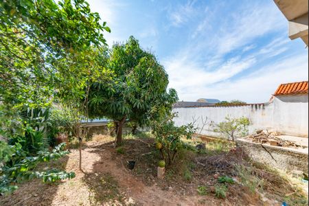 Casa para alugar com 365m², 4 quartos e 8 vagasQuintal