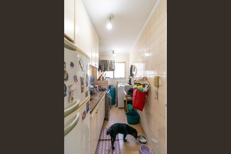 Apartamento para alugar com 63m², 2 quartos e 1 vaga Apartamento para alugar com 63m², 2 quartos e 1 vagaCozinha