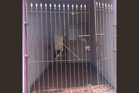 Casa à venda com 3 quartos, 250m² em Jardim Santa Cecilia, Guarulhos