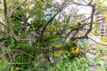 Casa à venda com 804m², 5 quartos e 1 vagaVista do Quarto 1