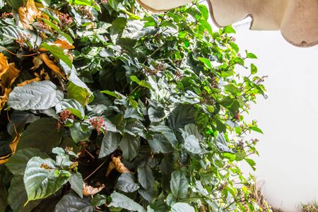 Casa de condomínio à venda com 300m², 4 quartos e 4 vagasVista da Suíte