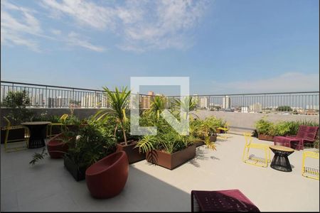 Casa de condomínio para alugar com 25m², 1 quarto e sem vaga Casa de condomínio para alugar com 25m², 1 quarto e sem vagaTerraço