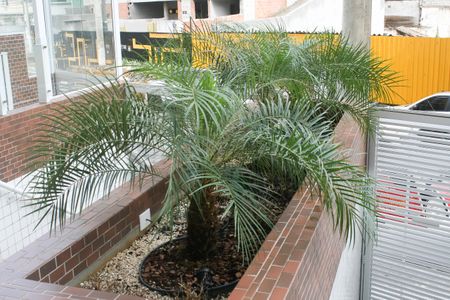 Apartamento para alugar com 50m², 1 quarto e 1 vagaÁrea comum