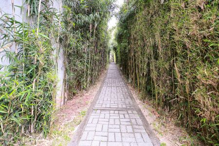 Apartamento à venda com 119m², 3 quartos e 2 vagasÁrea comum - Pista de caminhada