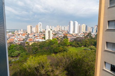 Apartamento à venda com 101m², 3 quartos e 2 vagasVista da Sacada da Sala