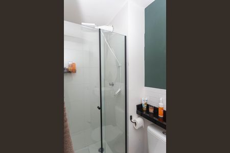 Banheiro Social de apartamento para alugar com 2 quartos, 35m² em Parque Industrial Tomas Edson, São Paulo