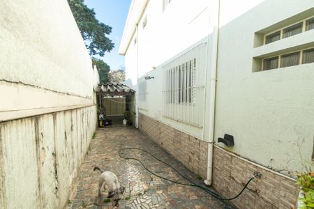 Casa à venda com 250m², 4 quartos e 4 vagasQuintal