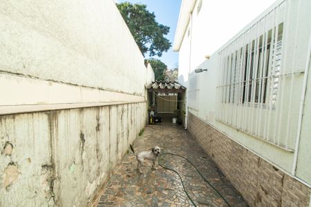 Casa à venda com 250m², 4 quartos e 4 vagasQuintal