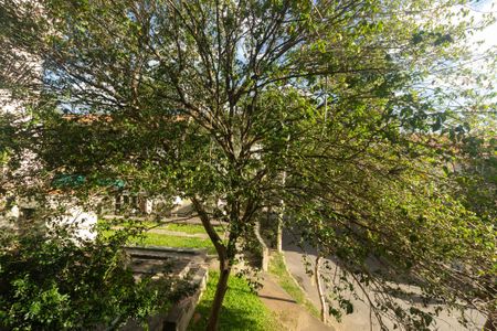 Apartamento para alugar com 60m², 2 quartos e 1 vagaVista da Cozinha e Área de Serviço