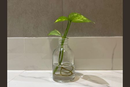 Apartamento à venda com 63m², 2 quartos e 1 vaga Apartamento à venda com 63m², 2 quartos e 1 vagaBanheiro 2