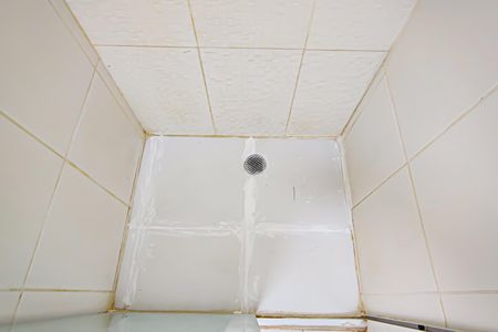 Apartamento para alugar com 54m², 2 quartos e 1 vagaBanheiro da Suíte