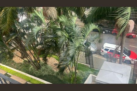 Apartamento à venda com 3 quartos, 80m² em Casa Verde, São Paulo