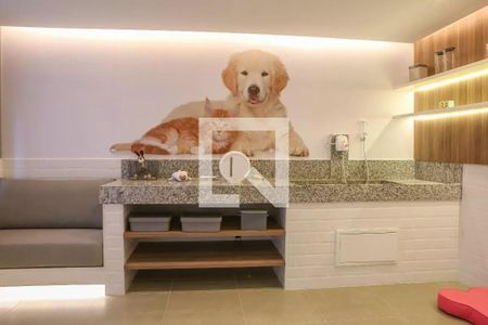 Apartamento para alugar com 37m², 2 quartos e sem vagaÁrea comum - Área Pet